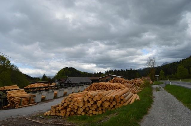 Management in Holzverarbeitungsbetrieben