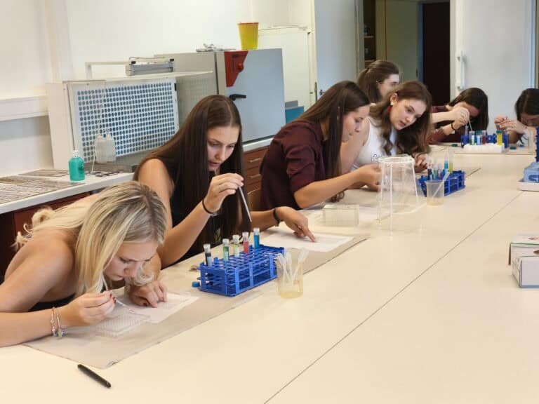 Studierende im Orientierungsstudium