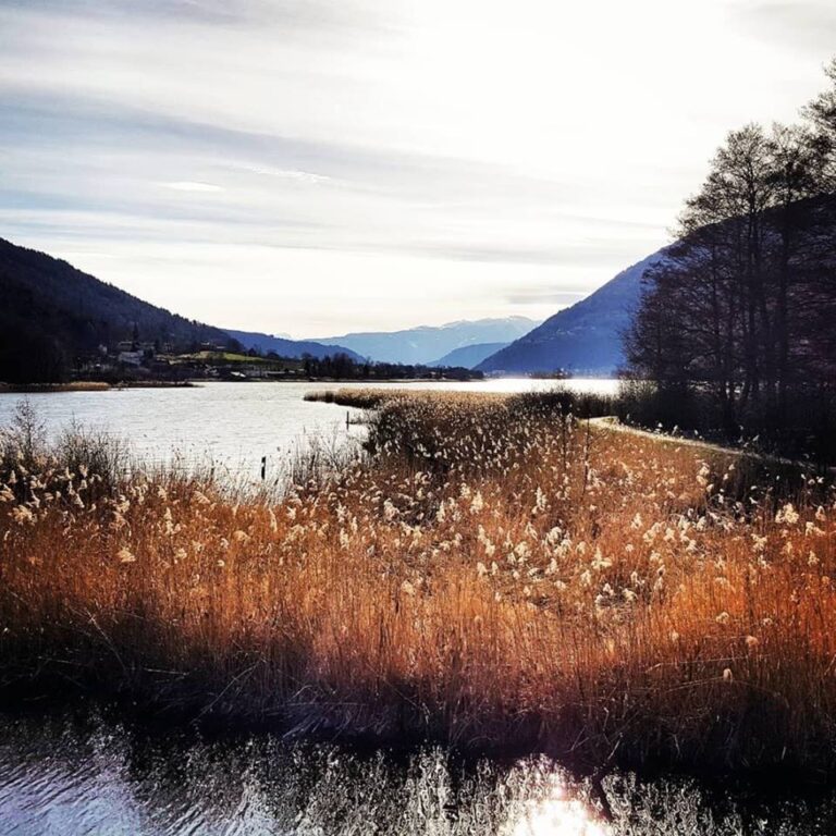 Das Bleistätter Moor am Ossiacher See. Ausflugstipps Feldkirchen. Fotocredit: Claudia Pertl